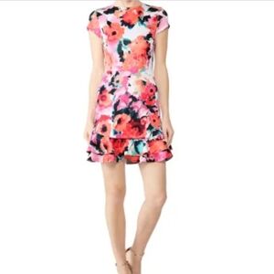 Slate & Willow Ruffle Hem Scuba